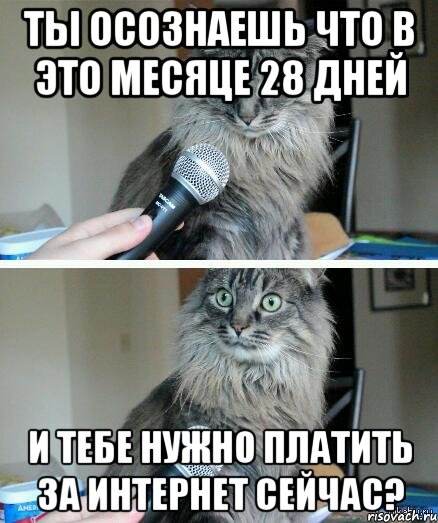 Ты осознаешь что в это месяце 28 дней и тебе нужно платить за интернет сейчас?, Комикс  кот с микрофоном