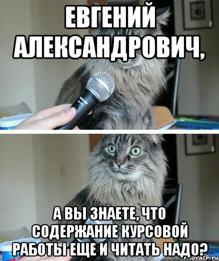 Евгений Александрович, а вы знаете, что содержание курсовой работы еще и читать надо?, Комикс  кот с микрофоном