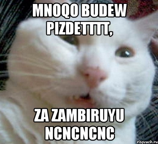 Mnoqo budew pizdetttt, Za zambiruyu ncncncnc, Мем Котэ позитивный