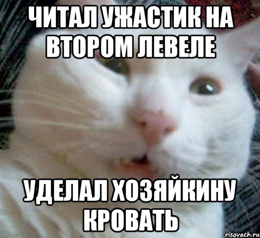 читал ужастик на втором левеле уделал хозяйкину кровать, Мем Котэ позитивный