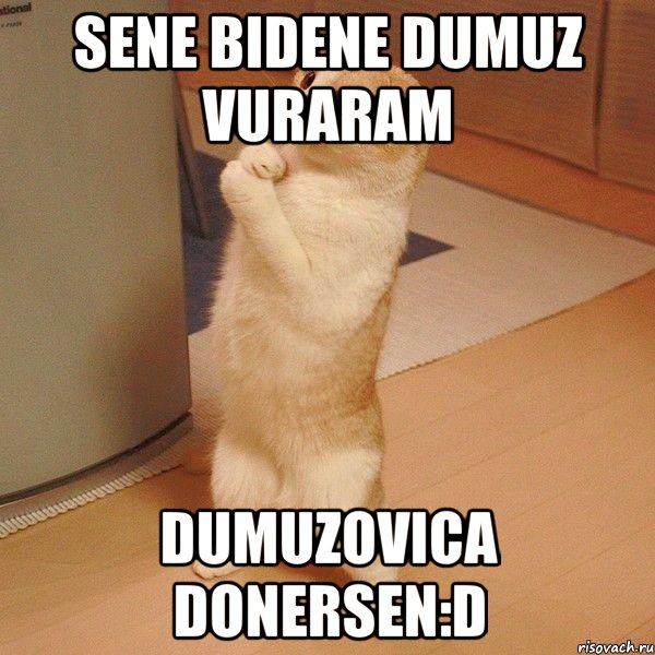 sene bidene dumuz vuraram dumuzovica donersen:D, Мем  котэ молится