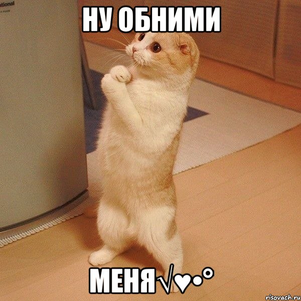 Ну Обними Меня√♥•°, Мем  котэ молится