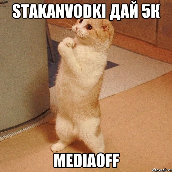 StakanVodki дай 5к MediaOFF, Мем  котэ молится