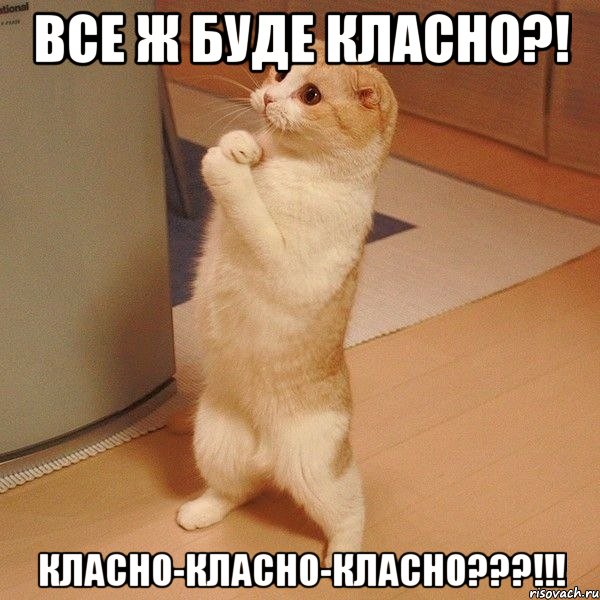 Все ж буде класно?! класно-класно-класно???!!!, Мем  котэ молится