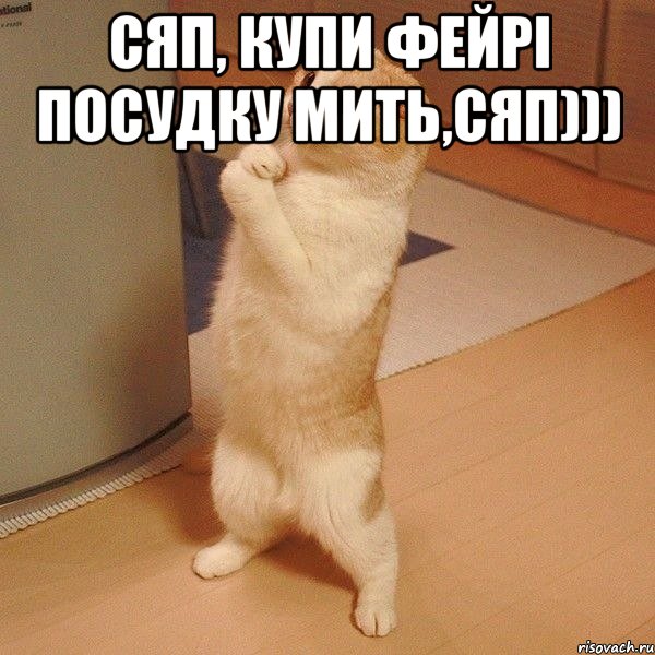 Сяп, купи Фейрі посудку мить,Сяп))) , Мем  котэ молится