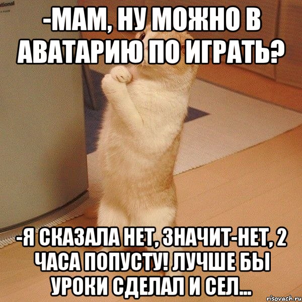 -Мам, ну можно в Аватарию по играть? -Я сказала нет, значит-нет, 2 часа попусту! Лучше бы уроки сделал и сел..., Мем  котэ молится