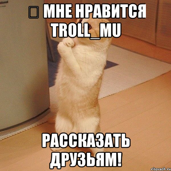 ❤ мне нравится troll_mu рассказать друзьям!, Мем  котэ молится