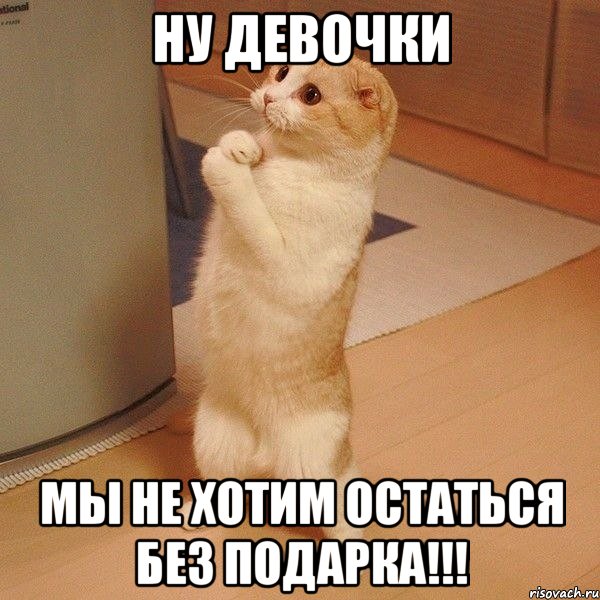 ну девочки мы не хотим остаться без подарка!!!, Мем  котэ молится