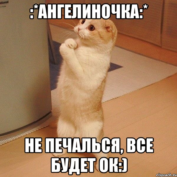 :*Ангелиночка:* Не печалься, все будет ок:), Мем  котэ молится