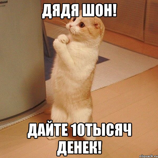 дядя Шон! дайте 10тысяч денек!, Мем  котэ молится