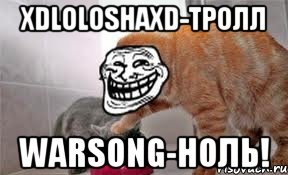 XDloloshaXD-Тролл Warsong-Ноль!, Мем Котэйко