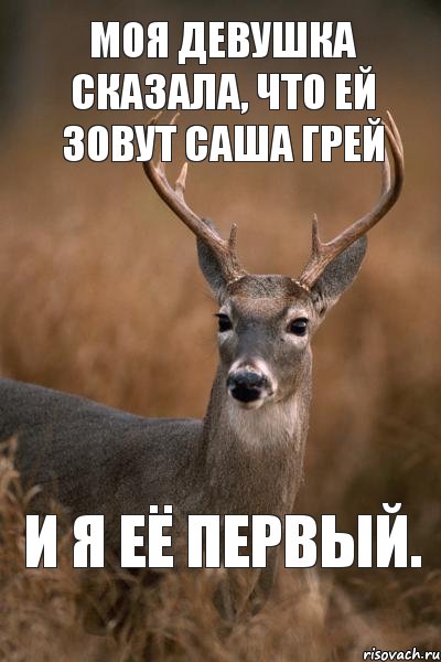 Мем про оленя и девушку