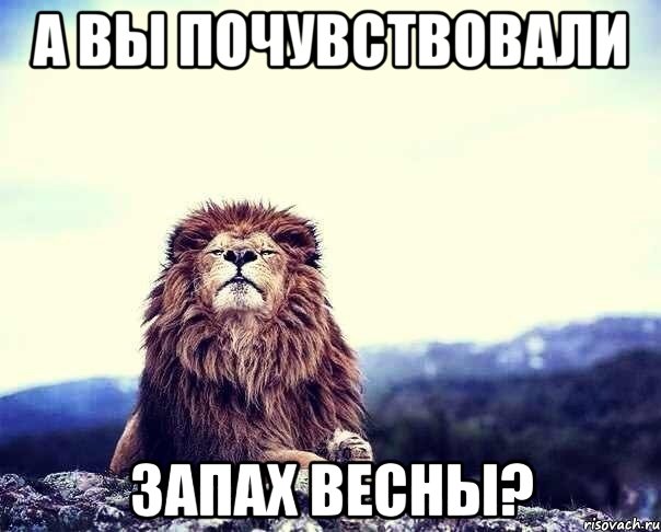 Чувствуете выходными пахнет картинки