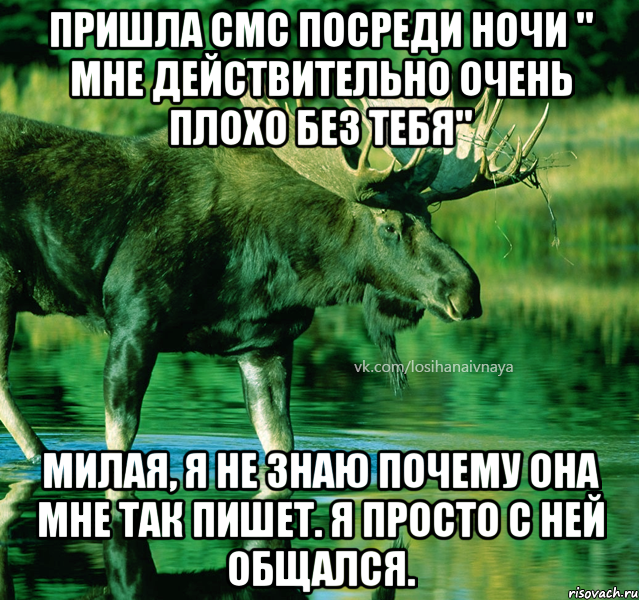 Действительно очень. Обилась. Расстроишь своим поведением.. Картинки обилась. Наверно я очень злая.