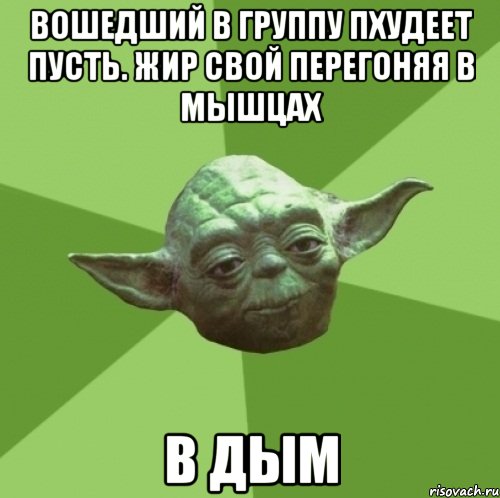 вошедший в группу пхудеет пусть. жир свой перегоняя в мышцах в дым, Мем Мастер Йода