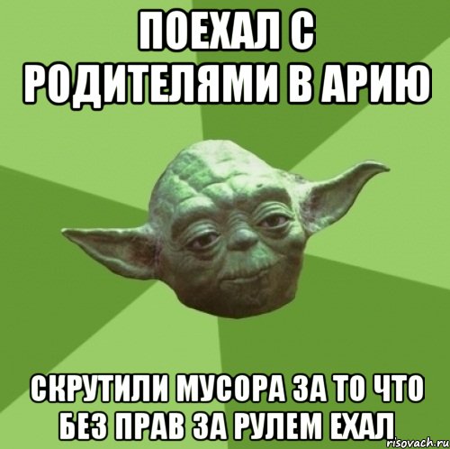 Поехал с родителями в арию Скрутили мусора за то что без прав за рулем ехал, Мем Мастер Йода