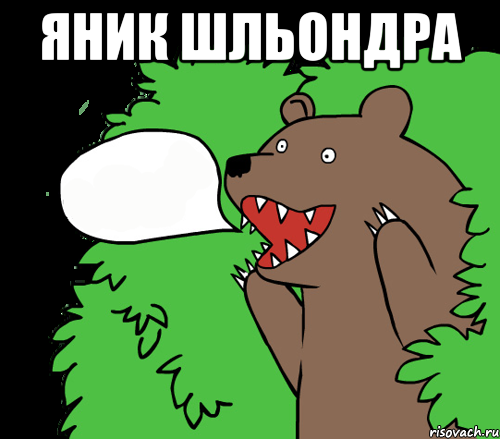 Яник шльондра , Комикс медведь из кустов