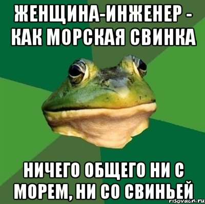 Женщина-инженер - как морская свинка Ничего общего ни с морем, ни со свиньей, Мем  Мерзкая жаба