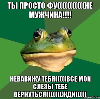 ТЫ ПРОСТО ФУ(((((((((((НЕ МУЖЧИНА!!!! НЕВАВИЖУ ТЕБЯ(((((ВСЕ МОИ СЛЕЗЫ ТЕБЕ ВЕРНУТЬСЯ(((((((ЖДИ(((((, Мем  Мерзкая жаба