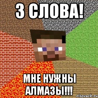 3 слова! Мне Нужны Алмазы!!!, Мем Миникрафтер