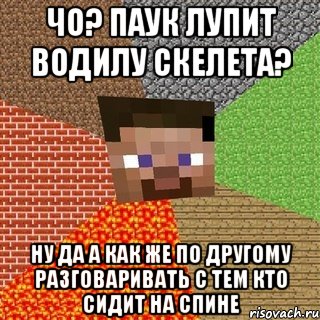 чо? паук лупит водилу скелета? ну да а как же по другому разговаривать с тем кто сидит на спине