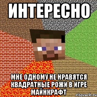 Интересно Мне одному не нравятся квадратные рожи в игре майнкрафт