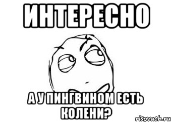 интересно а у пингвином есть колени?, Мем Мне кажется или