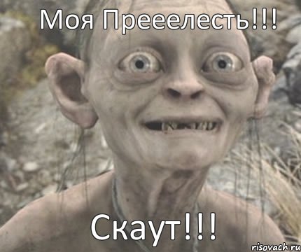 Скаут!!! Моя Прееелесть!!!, Комикс Моя прелесть