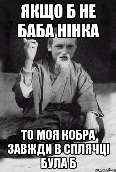 якщо б не баба Нінка то моя кобра завжди в сплячці була б, Мем Мудрий паца