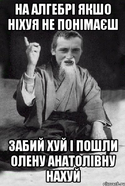 НА АЛГЕБРІ ЯКШО НІХУЯ НЕ ПОНІМАЄШ ЗАБИЙ ХУЙ І ПОШЛИ ОЛЕНУ АНАТОЛІВНУ НАХУЙ, Мем Мудрий паца