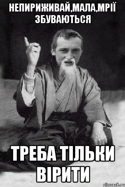 непириживай,мала,мрії збуваються треба тільки вірити, Мем Мудрий паца