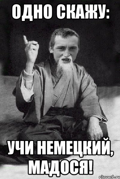 Одно скажу: Учи немецкий, Мадося!, Мем Мудрий паца