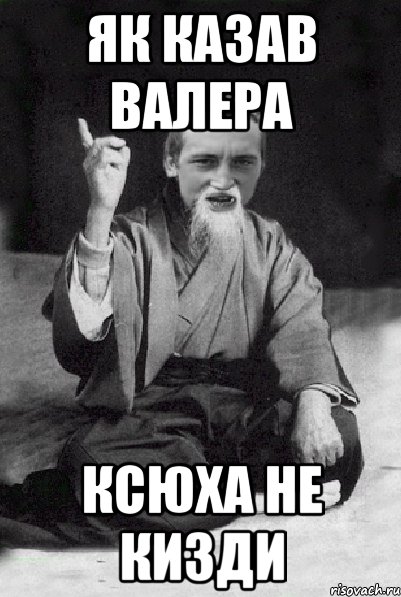 як казав Валера Ксюха не кизди, Мем Мудрий паца