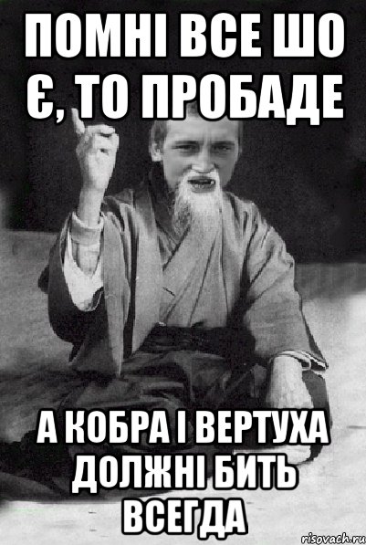 помні все шо є, то пробаде а кобра і вертуха должні бить всегда, Мем Мудрий паца