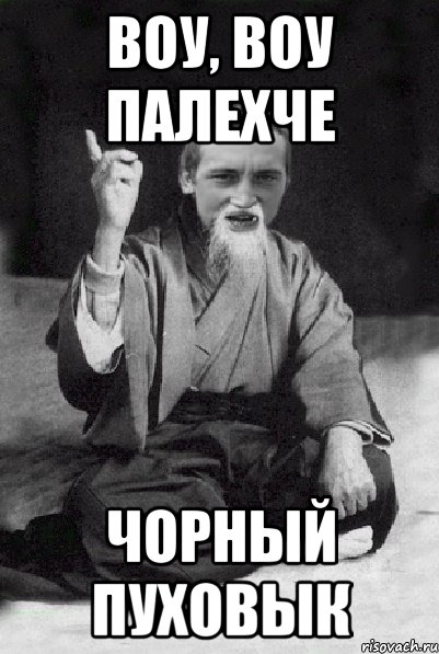 воу, воу палехче Чорный пуховык, Мем Мудрий паца