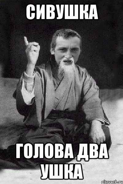 Сивушка голова два ушка, Мем Мудрий паца