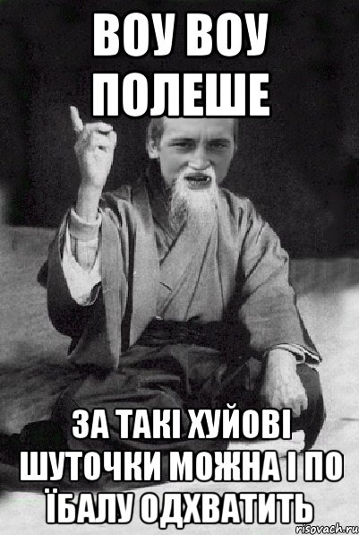 воу воу полеше за такі хуйові шуточки можна і по їбалу одхватить, Мем Мудрий паца