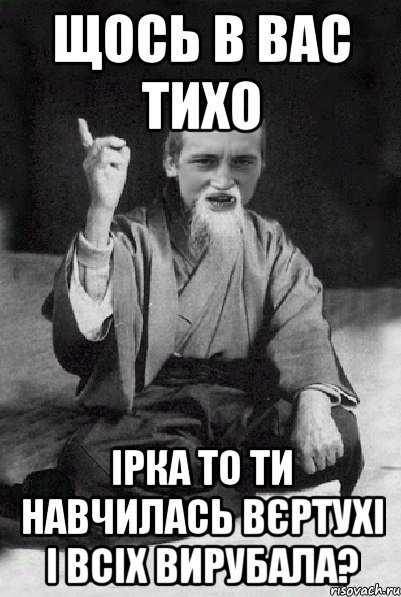 Щось в вас тихо Ірка то ти навчилась вєртухі і всіх вирубала?, Мем Мудрий паца