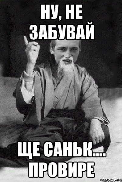 Ну, не забувай ще Саньк.... провире, Мем Мудрий паца