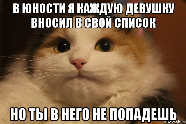 В юности я каждую девушку вносил в свой список но ты в него не попадешь, Мем  Кот в недоразумении