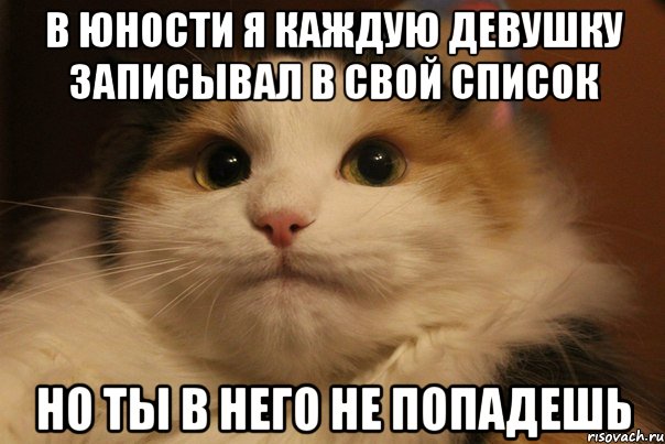 В юности я каждую девушку записывал в свой список но ты в него не попадешь, Мем  Кот в недоразумении