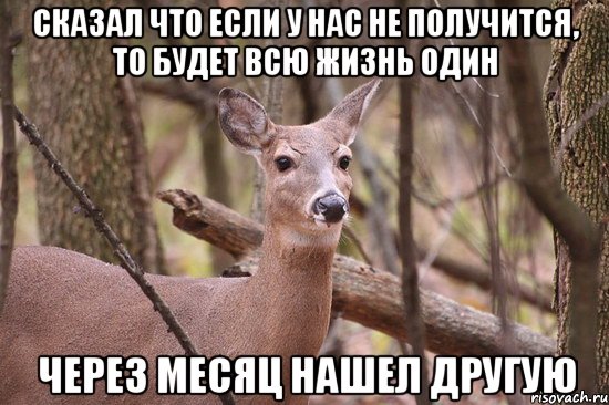 Сказал что если у нас не получится, то будет всю жизнь один Через месяц нашел другую, Мем Наивная олениха