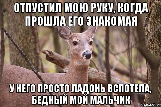 Отпустил мою руку, когда прошла его знакомая У него просто ладонь вспотела, бедный мой мальчик, Мем Наивная олениха