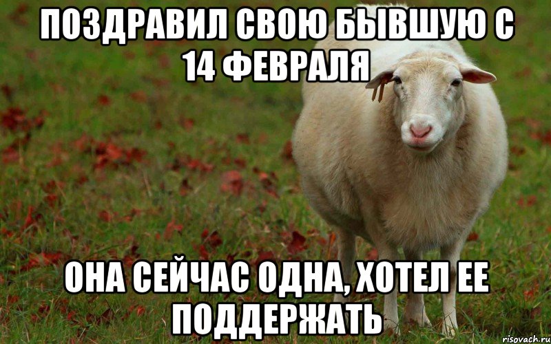 Поздравил свою бывшую с 14 февраля она сейчас одна, хотел ее поддержать, Мем  наивная овца