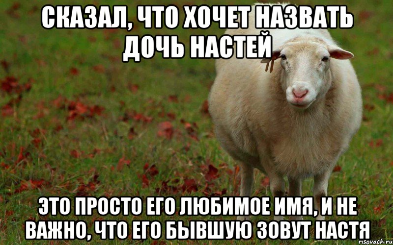 сказал, что хочет назвать дочь Настей это просто его любимое имя, и не важно, что его бывшую зовут Настя, Мем  наивная овца