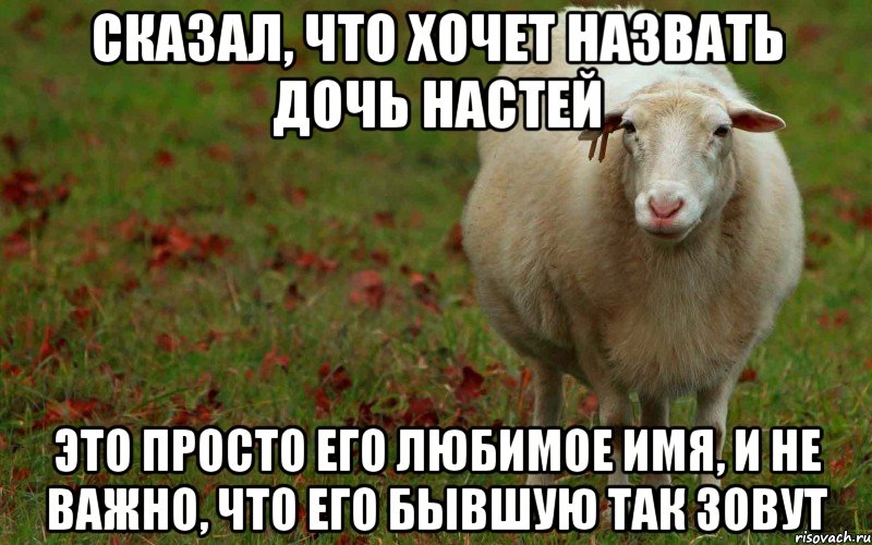 сказал, что хочет назвать дочь Настей это просто его любимое имя, и не важно, что его бывшую так зовут, Мем  наивная овца