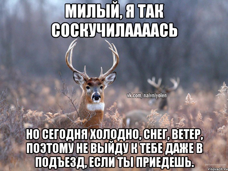 Милый, я так соскучилаааась Но сегодня холодно, снег, ветер, поэтому не выйду к тебе даже в подъезд, если ты приедешь.