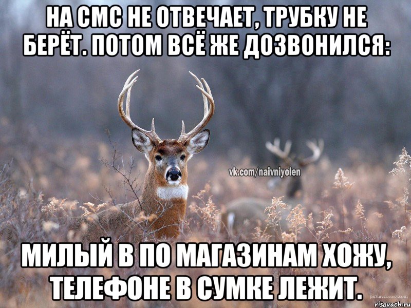 На смс не отвечает, трубку не берёт. Потом всё же дозвонился: Милый в по магазинам хожу, телефоне в сумке лежит.