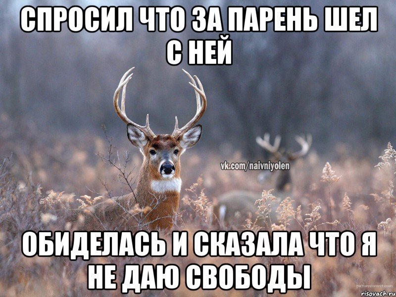 Спросил что за парень шел с ней обиделась и сказала что я не даю свободы, Мем   Наивный олень