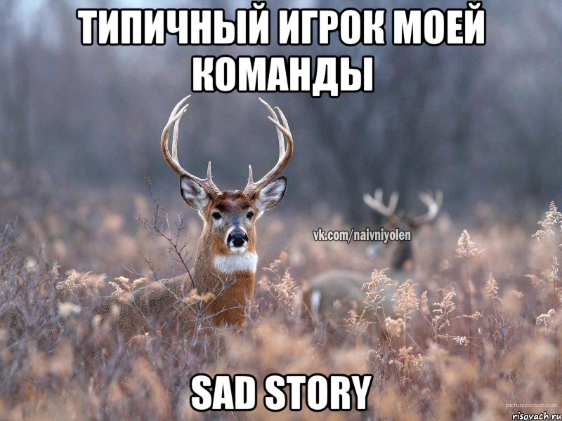 Типичный игрок моей команды Sad story, Мем   Наивный олень